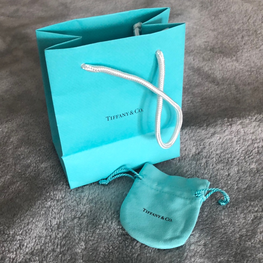 Tiffany and Co. bag and pouch